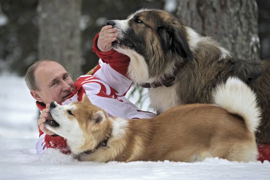 Putin'in fotoğrafları sosyal medyayı salladı