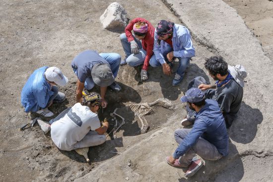 3 Bin yıllık köpek iskeleti bulundu