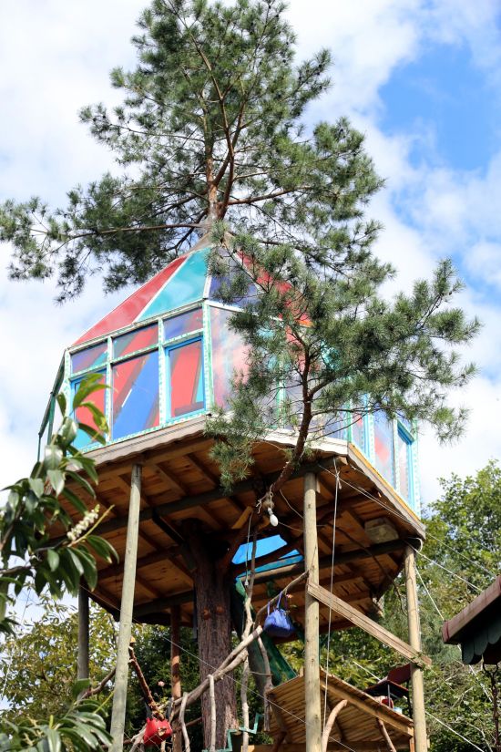 Çam gövdesine 18 metrekarelik ağaç ev yaptı