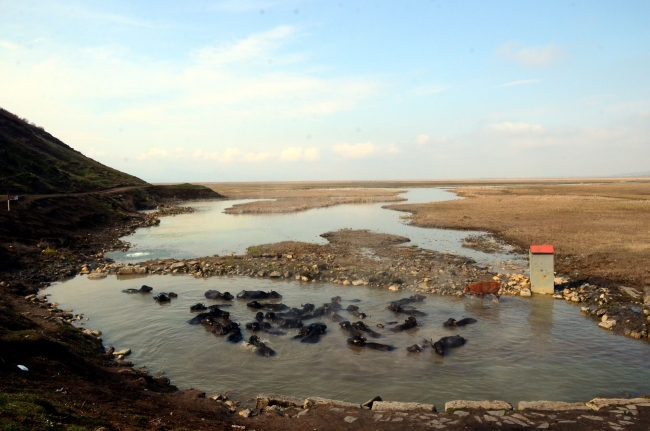 Budaklı kaplıcası fotoğraf tutkunlarını ağırlıyor