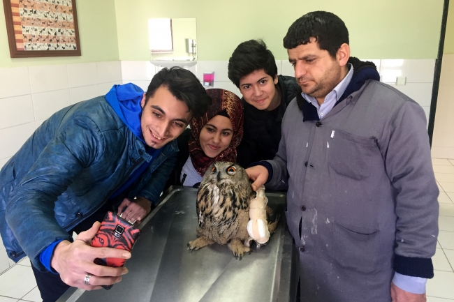 Yaralı puhu kuşu tedavi altına alındı