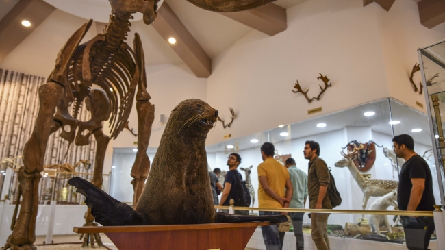 Gaziantep tarihe tanıklık eden müzeleriyle ziyaretçilerini ağırlıyor