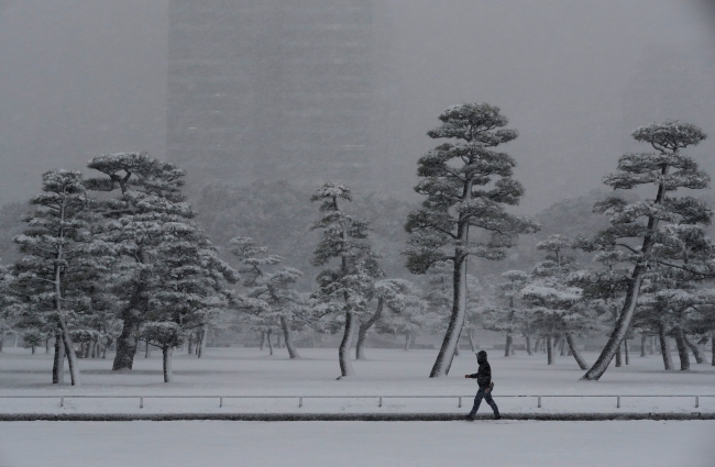 Japonya'yı kar fırtınası vurdu