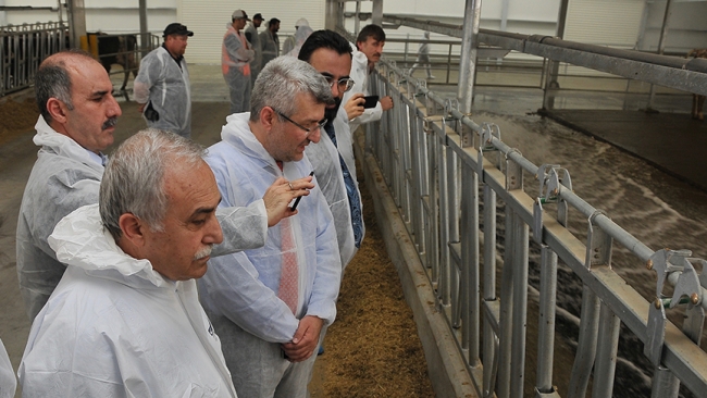 Bakan Fakıbaba, Katar'da süt üretim tesisini gezdi