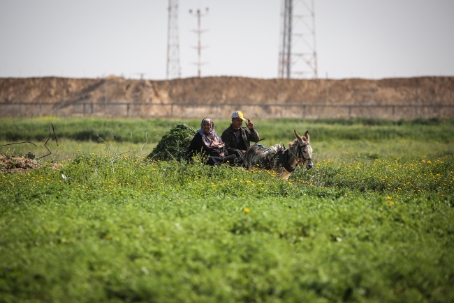 Gazzeli kadın çiftçilerin ateş hattındaki yaşam mücadelesi