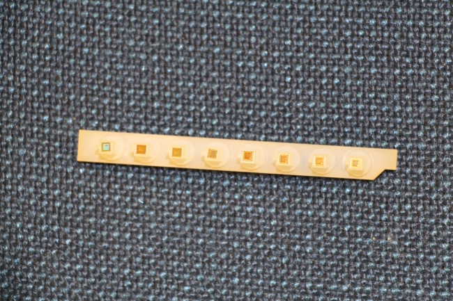 Türk bilim insanı virüsleri hızlı tespit eden mikroçip üretti