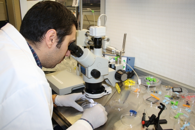 Türk bilim insanı virüsleri hızlı tespit eden mikroçip üretti