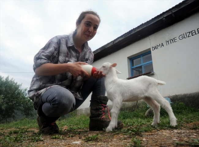Yıllarca şehir hayatı yaşayan Elif Sarıkaya, köyde keçi güdüyor