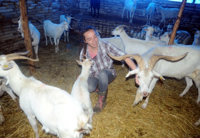 Yıllarca şehir hayatı yaşayan Elif Sarıkaya, köyde keçi güdüyor