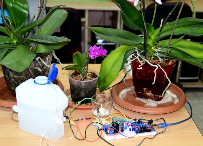 Kütahya'da lise öğrencileri cep telefonundan çiçek sulayan sistem geliştirdi