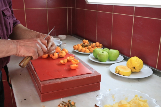 Osmanlı döneminin meyveli yemekleri, sofraları renklendiriyor