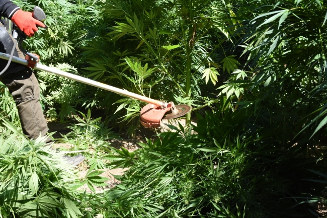 Hevsel Bahçeleri'nde uyuşturucu operasyonu
