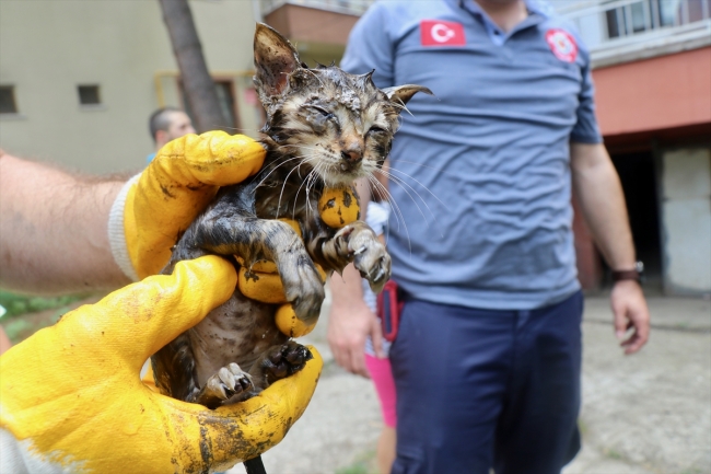 Düzce'de boruya sıkışan yavru kediyi itfaiye kurtardı