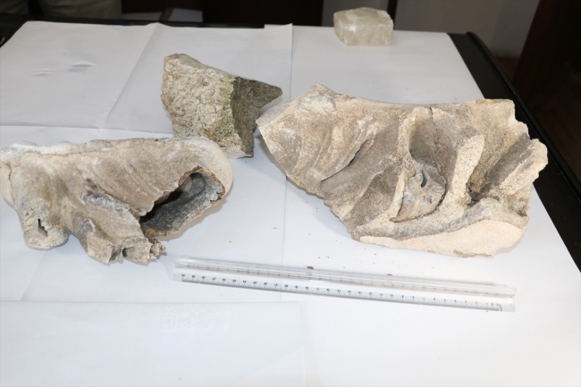 Yozgat'ta 8 milyon yıllık çene kemiği fosili bulundu