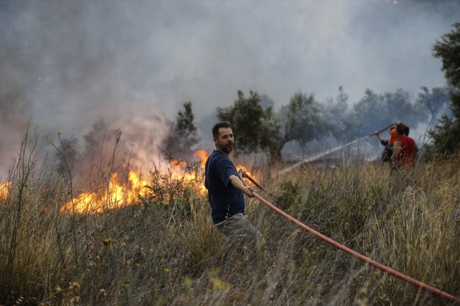 Yunanistan'ın başkenti Atina'da yangın