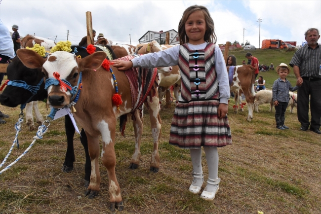 İki bin rakımlı yaylada festival keyfi