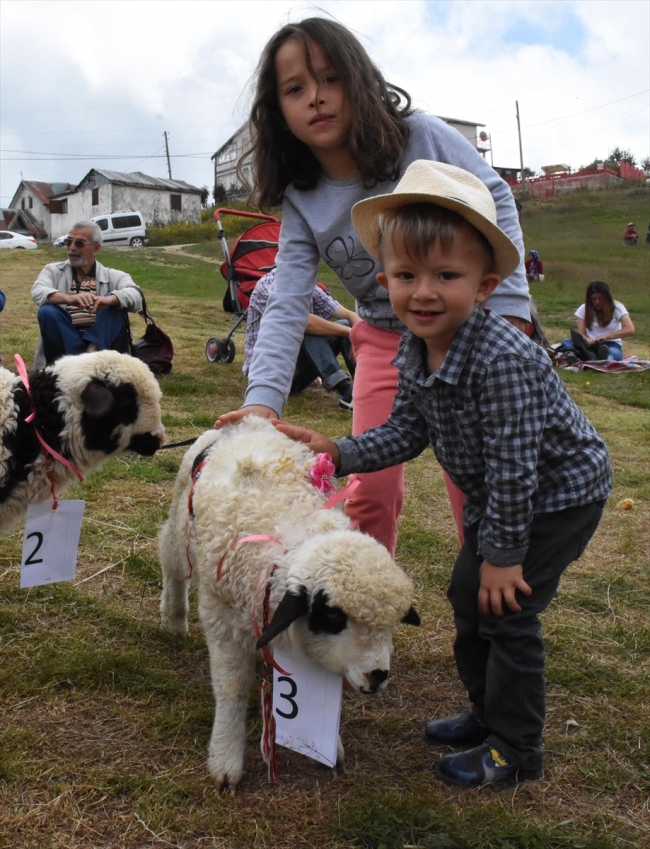 İki bin rakımlı yaylada festival keyfi
