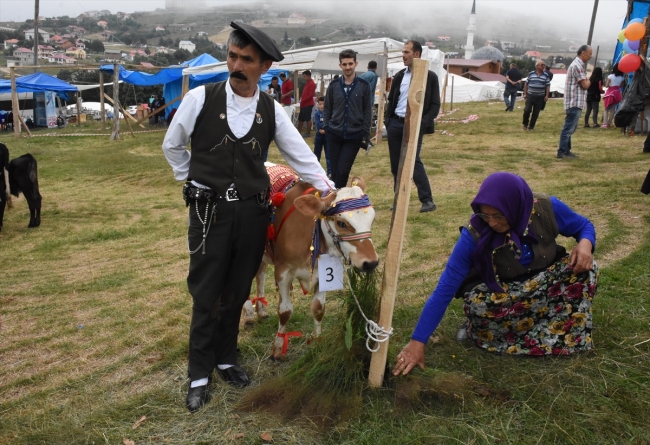 İki bin rakımlı yaylada festival keyfi