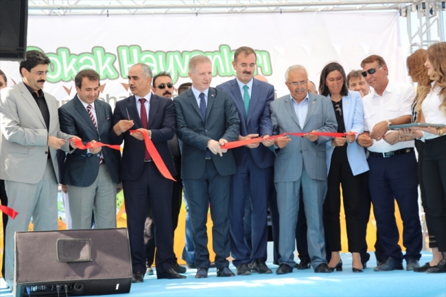 Sivas kurduğu 'Hayvan Oteli' ile örnek oluyor