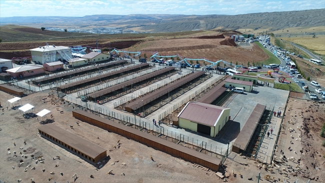 Sivas kurduğu 'Hayvan Oteli' ile örnek oluyor