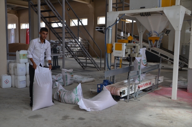 Devlet desteğiyle kurduğu fabrikada tohum işliyor