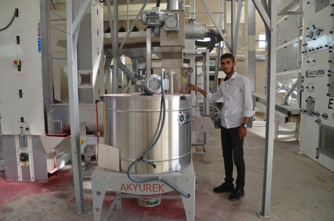 Devlet desteğiyle kurduğu fabrikada tohum işliyor