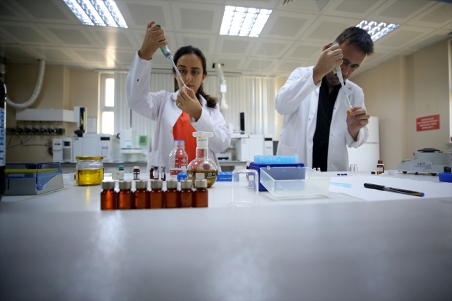 "Tarladan laboratuvara" sloganı ile tıbbi bitki üretimine destek