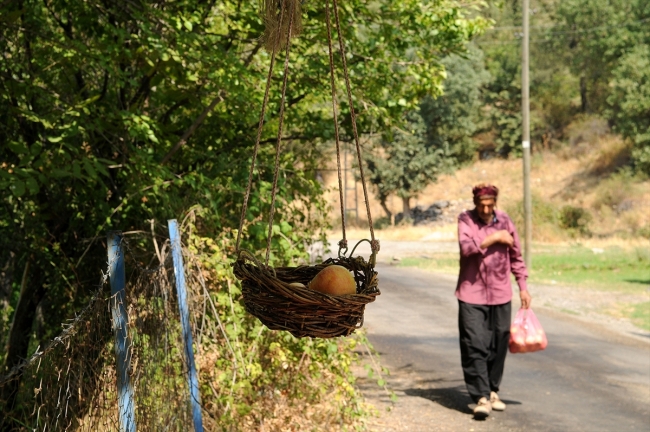 Yoldan geçenlere "göz hakkı sepeti" ile meyve ikramı