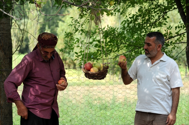 Yoldan geçenlere "göz hakkı sepeti" ile meyve ikramı