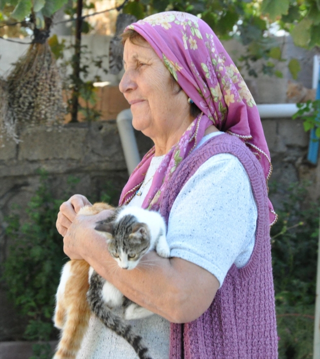 Köye bırakılan sahipsiz kedilere gönüllü bakıcılık yapıyor