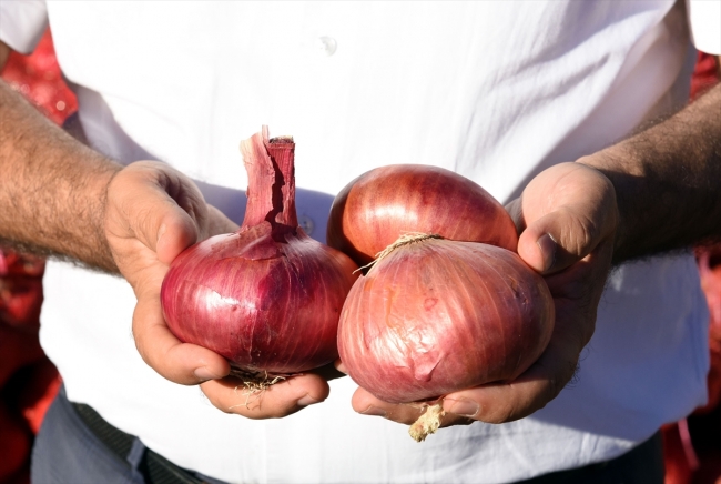 Kırıkkale'nin "Kılıçlar soğanı" artık tescilli