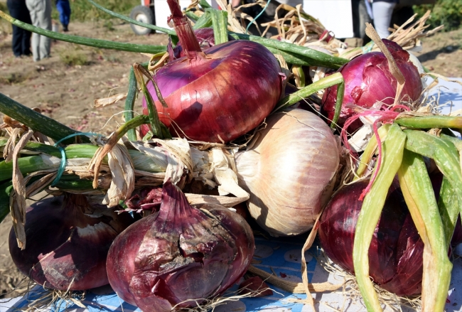 Kırıkkale'nin "Kılıçlar soğanı" artık tescilli