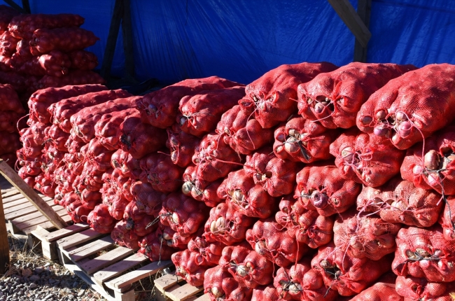Kırıkkale'nin "Kılıçlar soğanı" artık tescilli