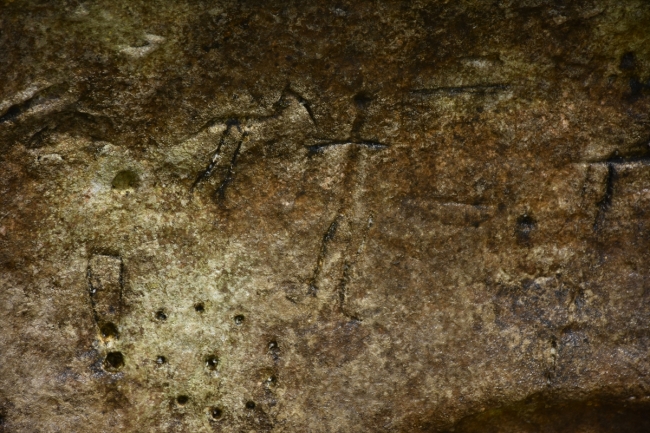 Atatürk Barajı kıyısında Paleolitik Dönem kaya resimleri bulundu