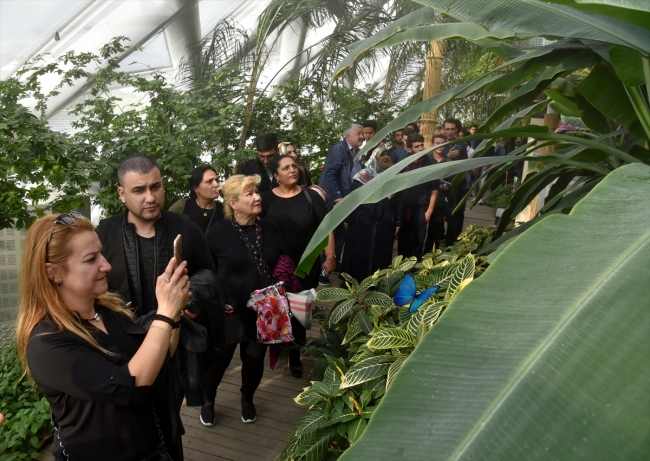 Tropikal Kelebek Bahçesi 1 buçuk milyon ziyaretçiye ulaştı