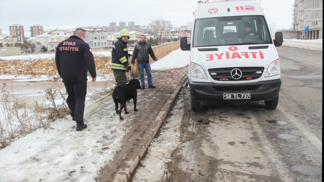 Donan Kızılırmak'ta mahsur kalan köpeği itfaiye kurtardı