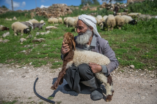 5 bin lira aylığa çoban bulamıyorlar