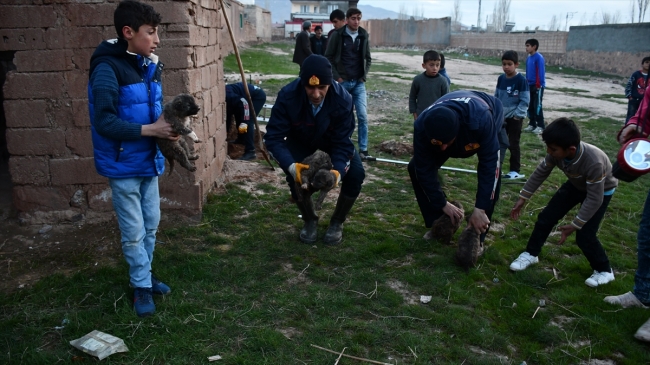 Foseptik çukuruna düşen köpek yavrularını itfaiye kurtardı