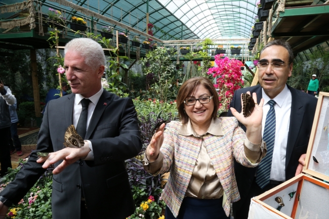 Gaziantep'te "Tropik Kelebek Bahçesi" ziyarete açıldı