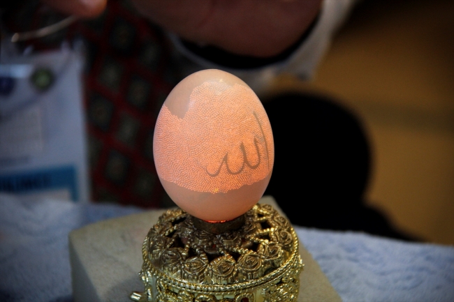 Yumurta kabuklarını sanat eserine dönüştürüyor