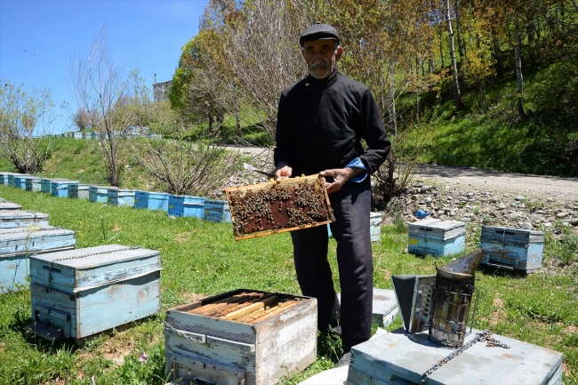 Muş'ta endemik bitki türleri kayıt altına alınıyor