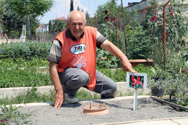 Yitik lale 123 yıl aradan sonra sılaya döndü