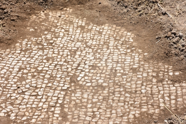 Adıyaman'da milattan sonra 6. yüzyıla ait mozaik bulundu