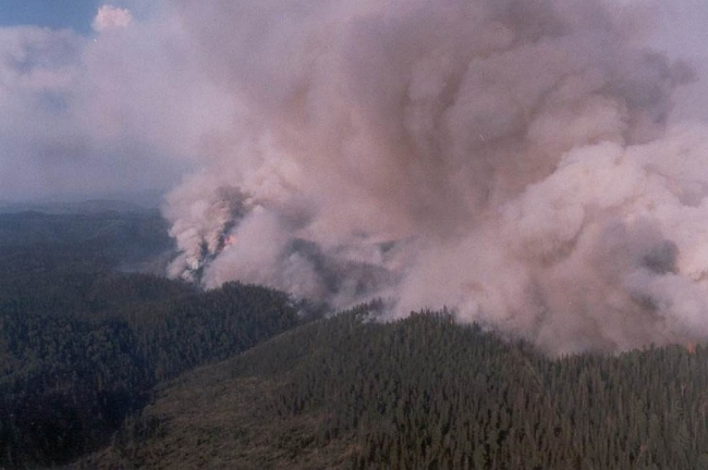 Rusya’da orman yangınları söndürülemiyor