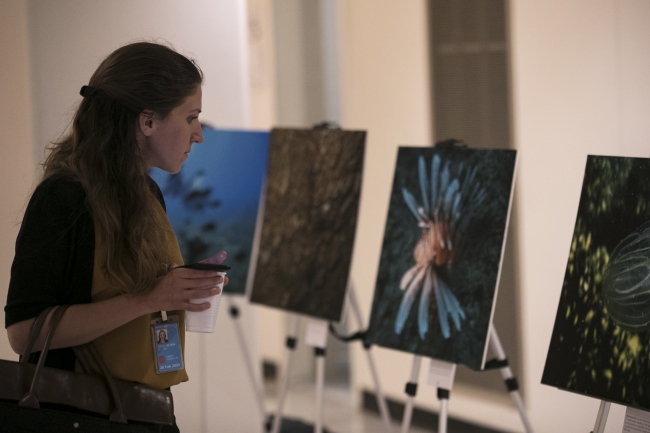 Türk denizleri, BM'de açılan sergiyle anlatıldı