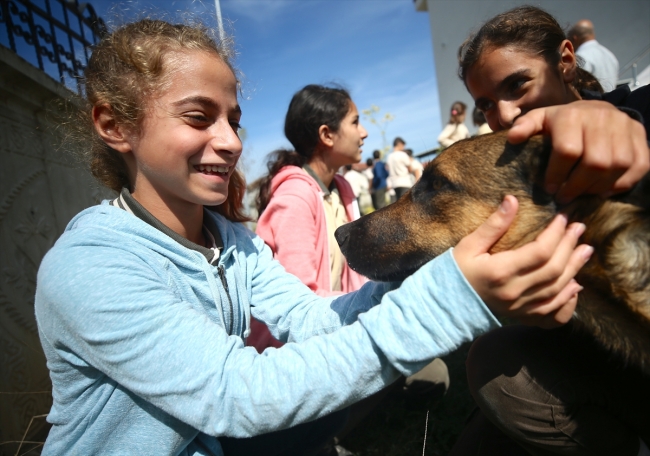 Sokak köpekleri okulun maskotu oldu