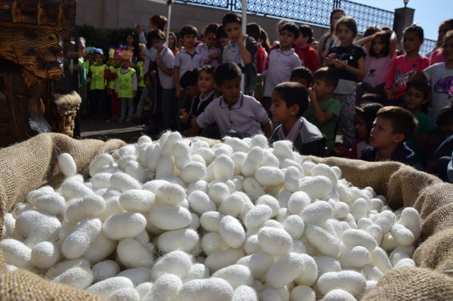 Minikler ipek böcekçiliği ile tanıştı