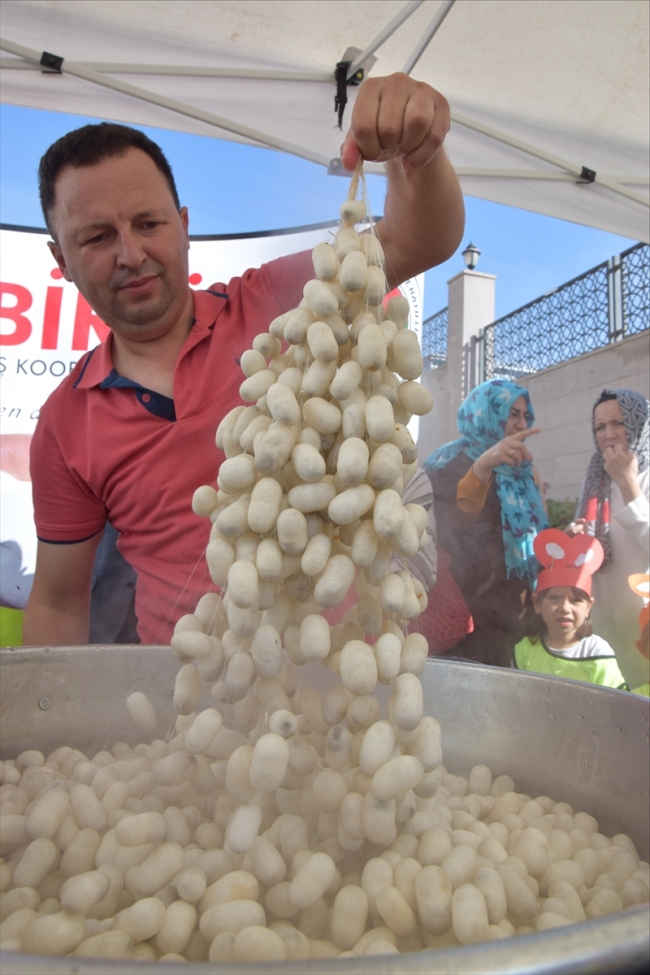 Minikler ipek böcekçiliği ile tanıştı