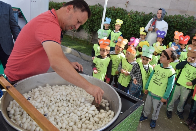Minikler ipek böcekçiliği ile tanıştı