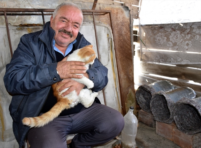 Eski damacana ve battaniyeler kedilere yuva oldu